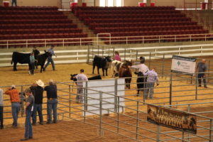 Cover photo for WNC Junior Beef Spring Fling