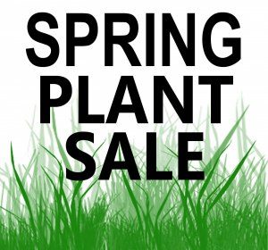 Cover photo for Master Gardener Plant Sale