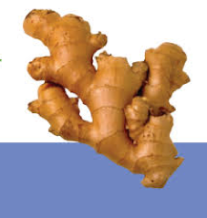 Image of ginger root