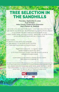 Tree Selection in the Sandhills flyer. 