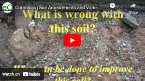 Cover slide "What is wrong with this soil?"
