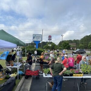 People shopping an outdoor plant sale